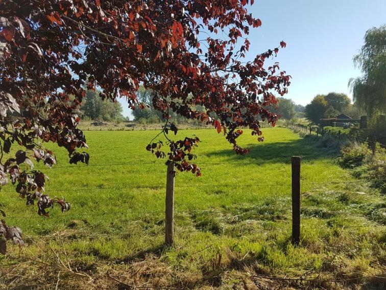 De Goeferdij Vakantiewoning Grammont Extérieur photo